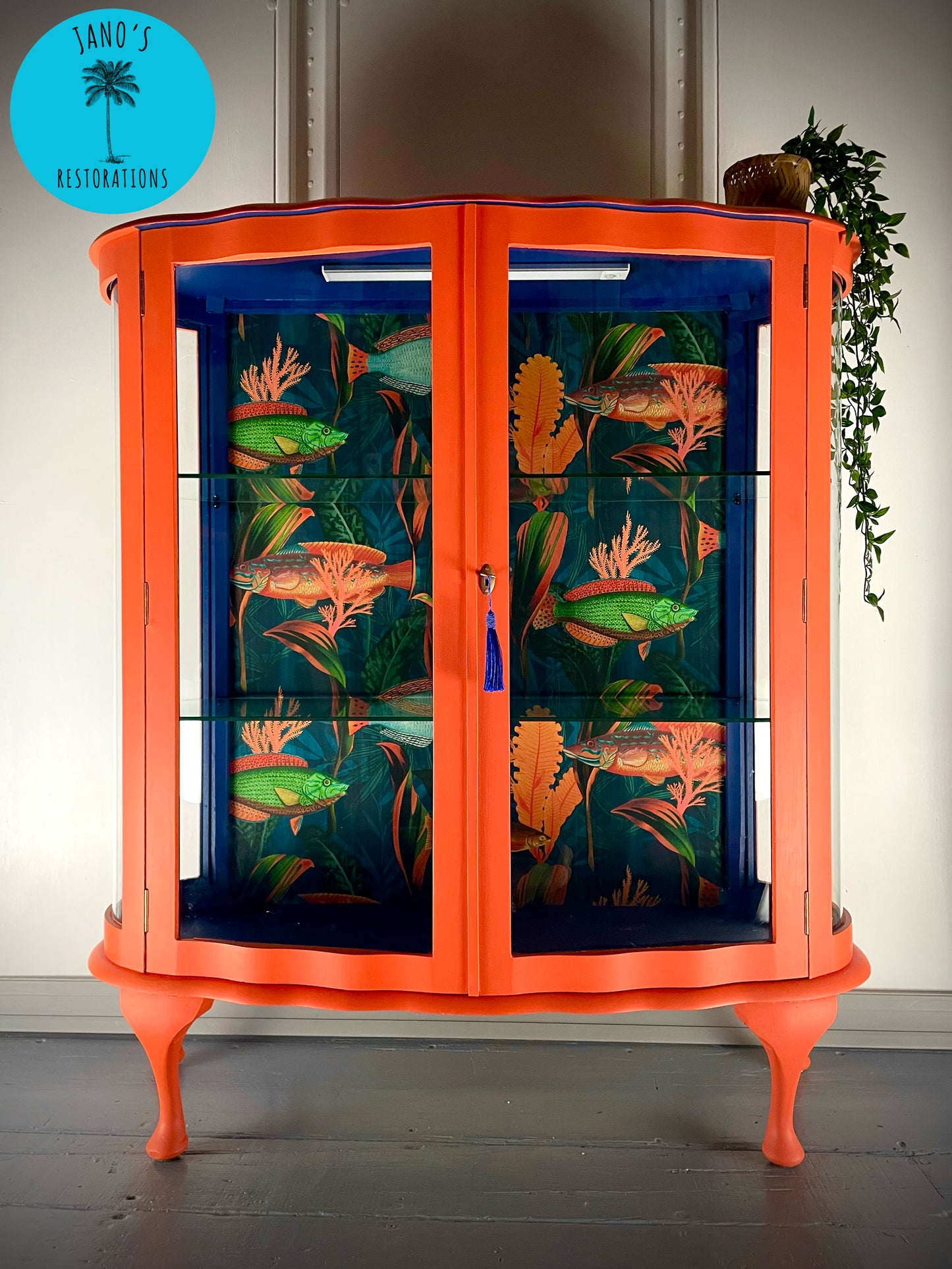 Display Cabinet