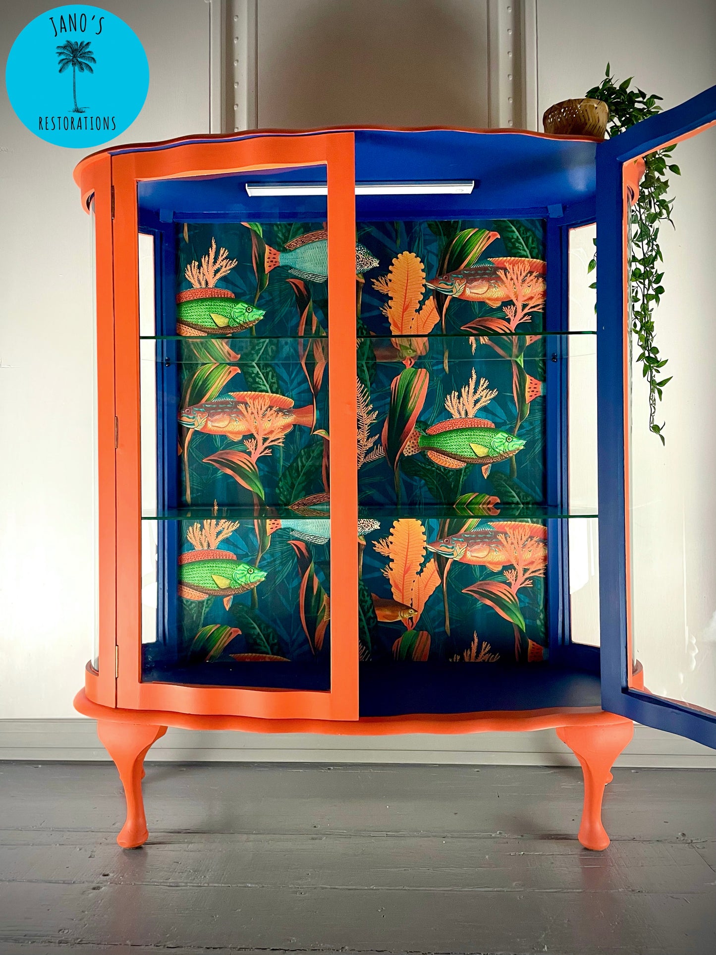 Display Cabinet