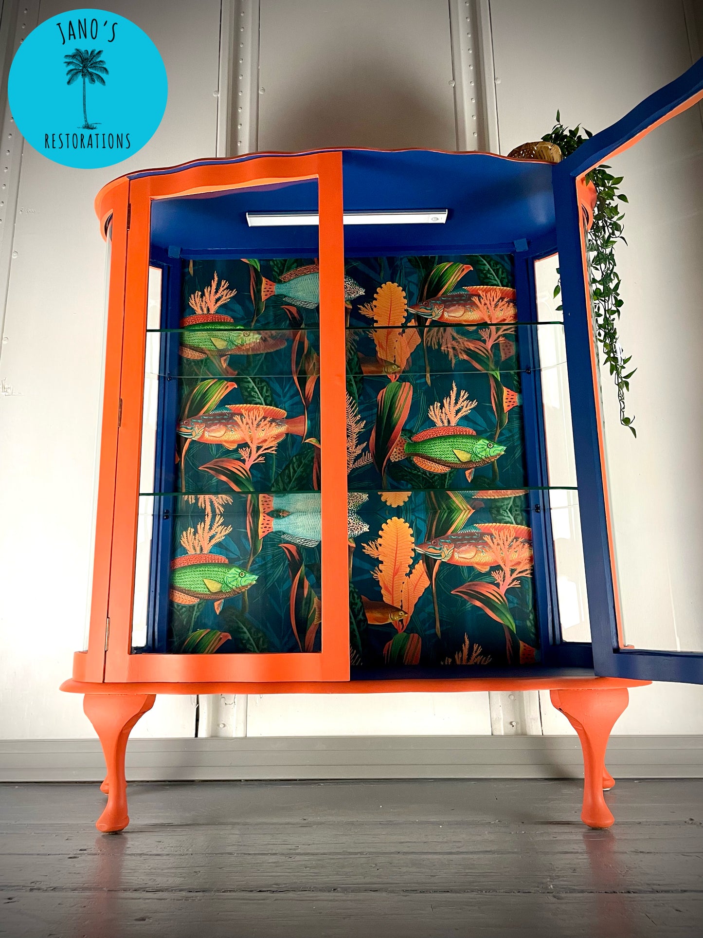 Display Cabinet