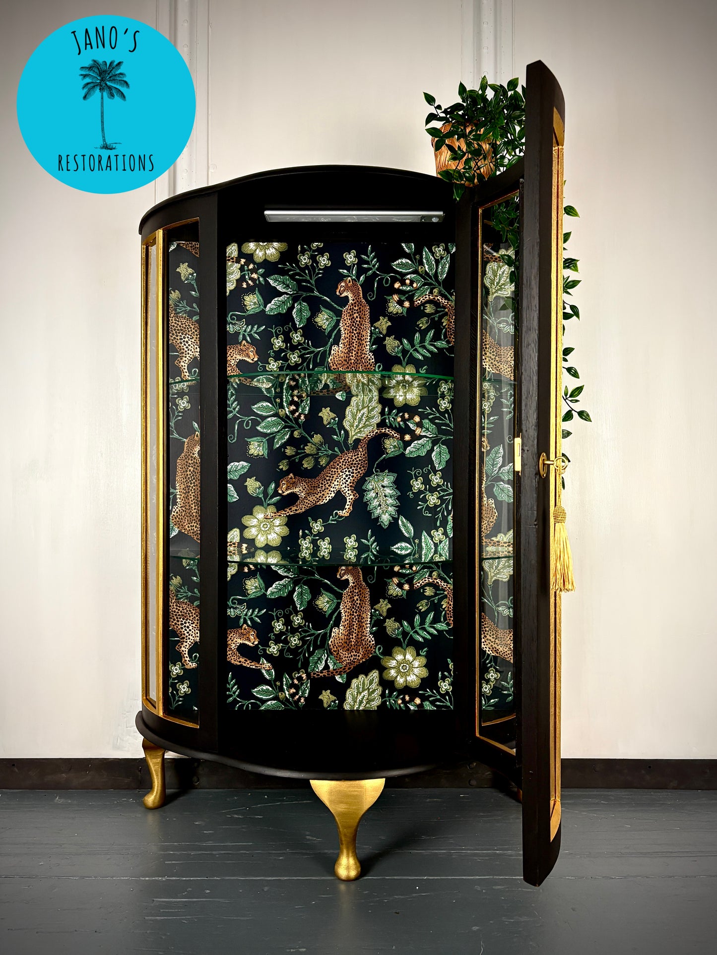 Display Cabinet